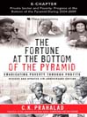 Private Sector and Poverty (eBook): Progress at the Bottom of the Pyramid During 2004-2009